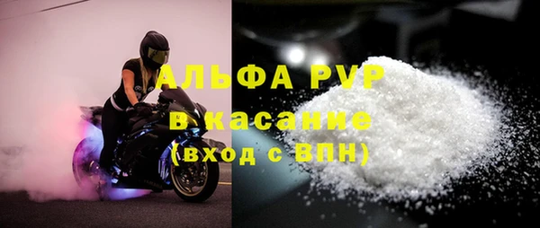 молекула духа Белоозёрский