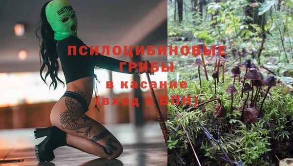 мяу мяу мука Балабаново