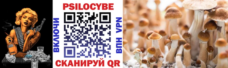 Псилоцибиновые грибы Magic Shrooms  Купить где  Новосиль 